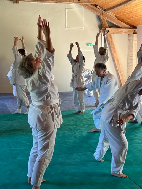 pratique de l'aikiryu-taiso
